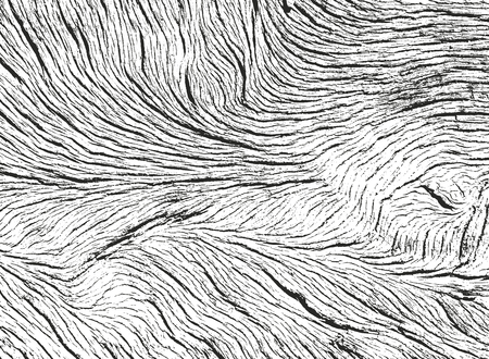 Distressed overlay wooden texture, grunge vector background.のイラスト素材