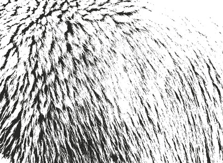 Distressed overlay texture of natural fur, grunge vector background. abstract halftone vector illustrationのイラスト素材