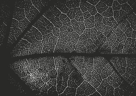 Distressed overlay wooden leaves, leaflet macro texture with streaks. grunge black and white background. abstract halftone vector illustrationのイラスト素材