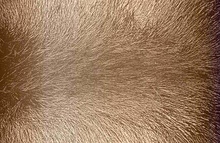 Distressed overlay texture of golden natural fur, grunge vector background.