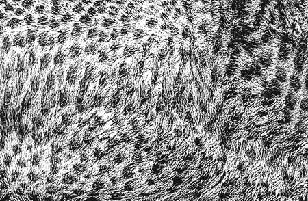 Distressed overlay texture of natural fur, grunge vector background. abstract halftone vector illustrationのイラスト素材