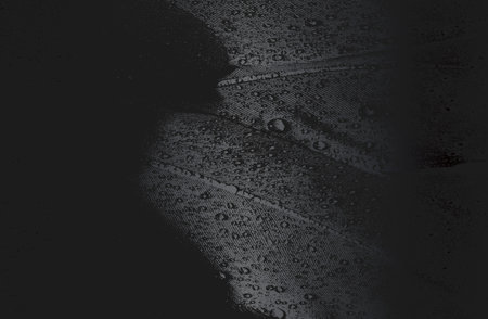 Luxury black metal gradient background with distressed birds feather texture. Vector illustrationの写真素材