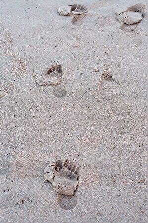Footprints on the beachの写真素材