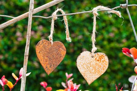 Two old rusty hearts hanging on an old wire fence with the garden in the backgroundの写真素材