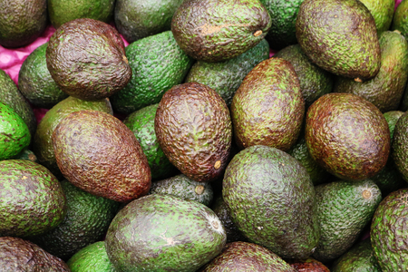 Fresh avocdo