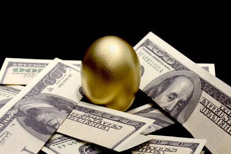 Nest Eggの写真素材