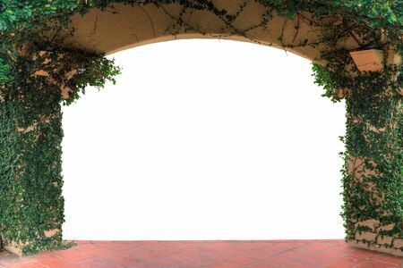 Archway surrounded by vine, on isolated white backgroundの写真素材