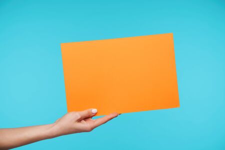 Indoor shot of big orange envelope A4 format being held by raised woman's hand while isolated over blue background, young lady delivering important letterの写真素材