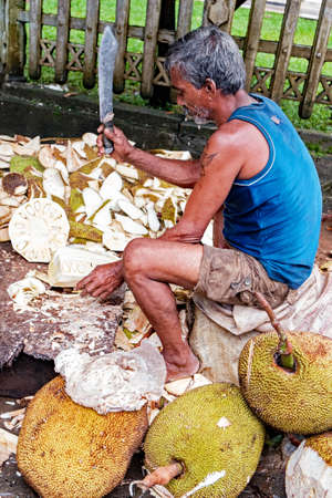 Polonnaruwa, Sri Lanka - December 29, 2015: Man chopping jackfruit in market in Polonnaruwaのeditorial素材