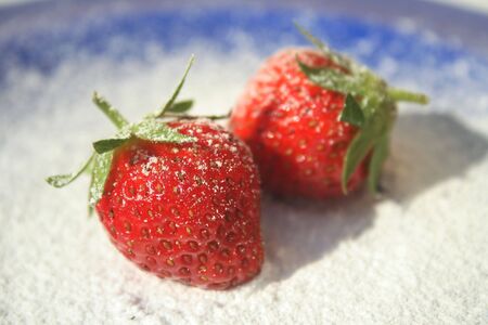 Two ripe red strawberries on blue plate with powered sugar sprinkled on themの写真素材
