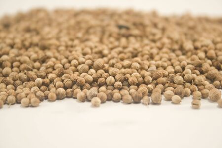Coriander seeds isolated on whiteの写真素材