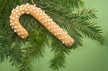 Candy cane cookie with fir branch isolated on green paperの写真素材