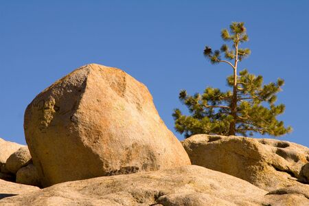 Side of rocky area of mountain with bushes and small trees growing out of itの写真素材