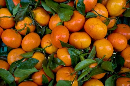 Fresh Market Mandarin citrus fruit with leaves