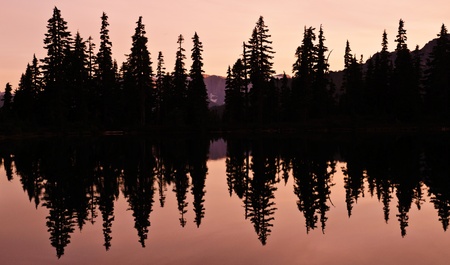 Lake reflection with silhouette of trees at sunsetの写真素材