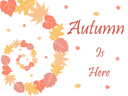 Fall leaves backgroundのイラスト素材