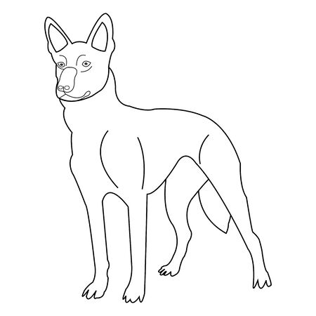 Dog on white background vector illustration.のイラスト素材