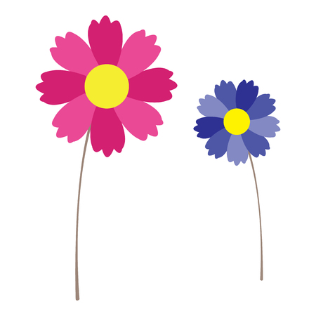 Two flowers in pink and blueのイラスト素材