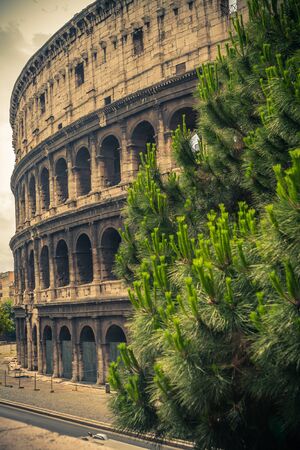 The Colosseum in Rome. Italy.の写真素材