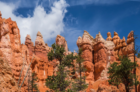 Red colored stones under the blue sky in Bryce Canyon National Parkの写真素材