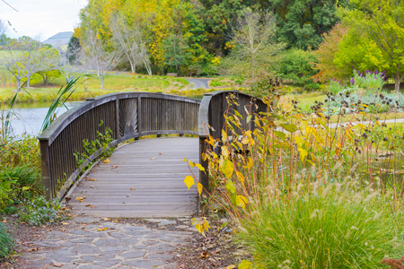 Romantic bridge over a small stream during fallの写真素材