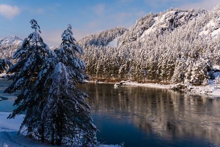 Mountain river Katun, Altay, Russia. A winter scenic.の写真素材