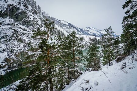 Mountain river Katun, Altai, Russia. A winter scenic.
