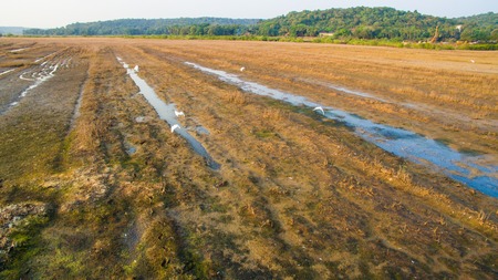 landscape of Goa in the state, far from the sea. Aerialの写真素材