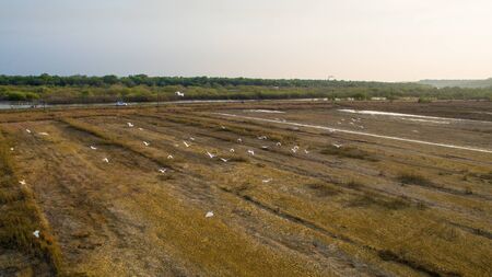 landscape of Goa in the state, far from the sea. Aerialの写真素材