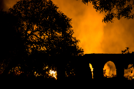 Forest fire burning at night, Goa, India.の写真素材