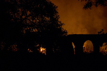 Forest fire burning at night, Goa, India.の写真素材