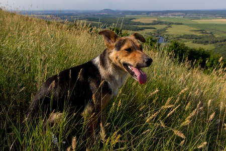 Shikhan mountain Toratau, Tra-Tau, Russia, Bashkortostan, South Uralの写真素材