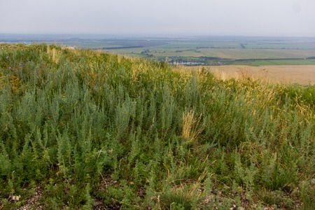 Yuraktau view from the mountain to the fields, the river, Sheehan, forestの写真素材