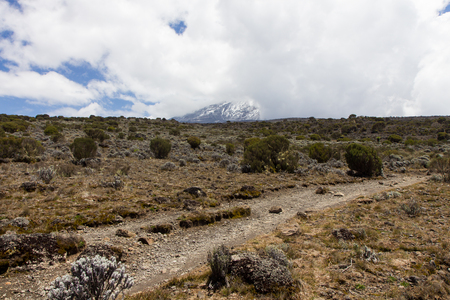 Track on Kilimanjaro on the Machame Route Whiskeyの写真素材