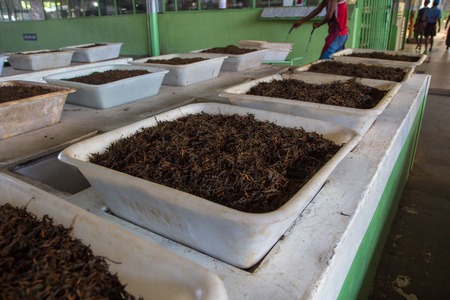 Boxes of tea in the tea factory warehouse.