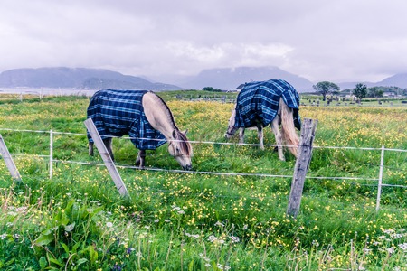 Landscape of village in Norway, Scandinaviaの写真素材