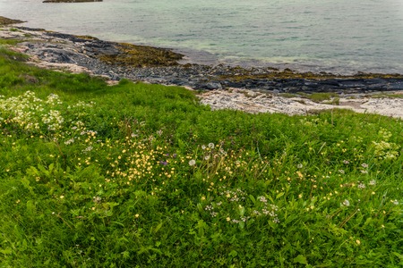 Landscape of village in Norway, Scandinaviaの写真素材