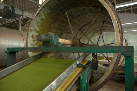 Inside a tea factory in Assam. Indiaの写真素材