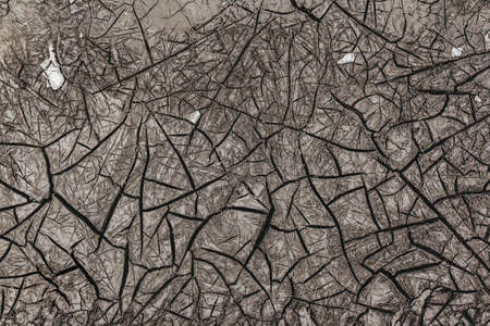 Deserted dry land with. Emotions about quarantine, virus and apocalypse. Background, textures of...