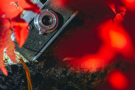 Vintage photo camera on the natural background. Beautiful retro and autumn toneの写真素材