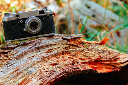 Vintage photo camera on the natural background. Beautiful retro and autumn tone