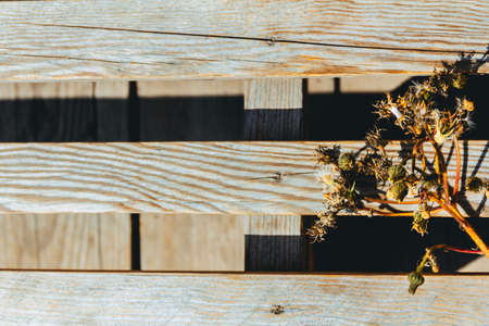 Wooden frame with autumn flowers for posters, banners, wallpapers.