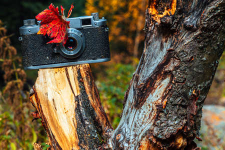 Vintage photo camera on the natural background. Beautiful retro and autumn toneの写真素材
