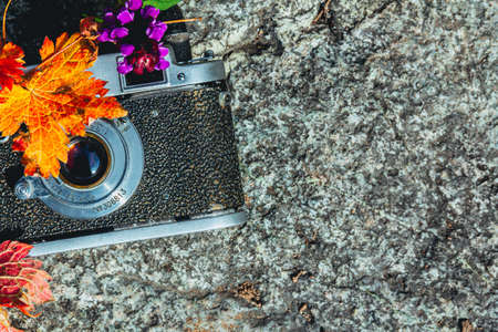 Vintage photo camera on the natural stone background. Beautiful colorful retro and autumn tone