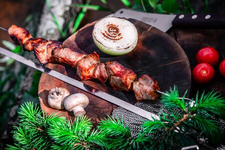 Fresh pork kebab on the boardの写真素材