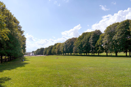 park in norway, scandinaviaの写真素材