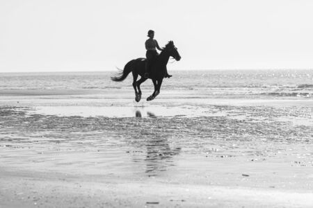 horse riding on the beach California USA