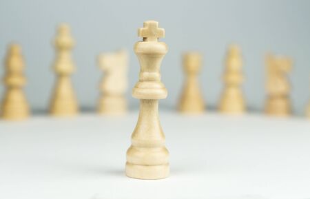 White King in front of his Teamの写真素材