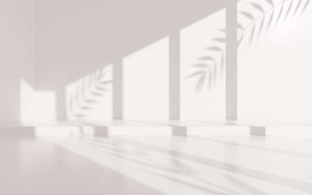 Empty white room with leaves shadow, 3d rendering. Computer digital drawing.の写真素材