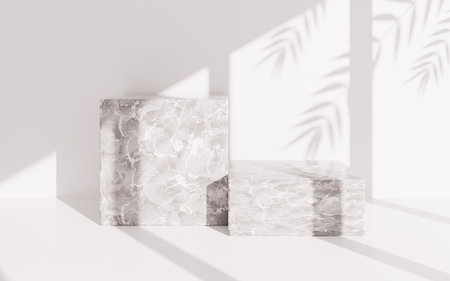 Marble empty stage with leaves shadow, 3d rendering. Computer digital drawing.の写真素材